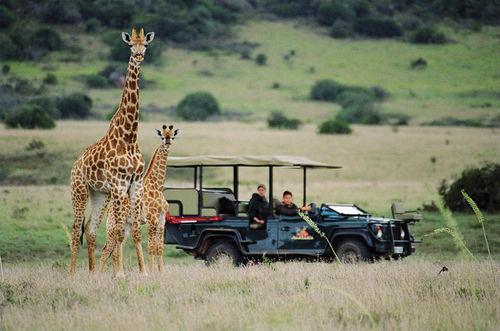 Amakhala Safari Lodge Paterson Zewnętrze zdjęcie