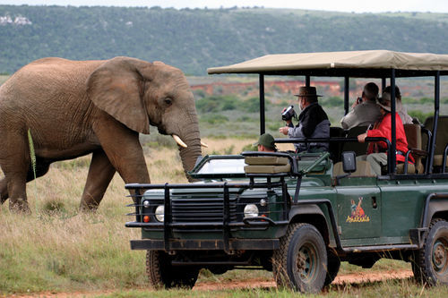 Amakhala Safari Lodge Paterson Zewnętrze zdjęcie