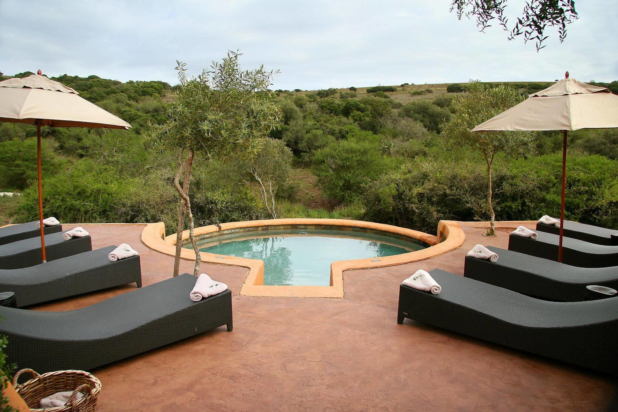 Amakhala Safari Lodge Paterson Zewnętrze zdjęcie